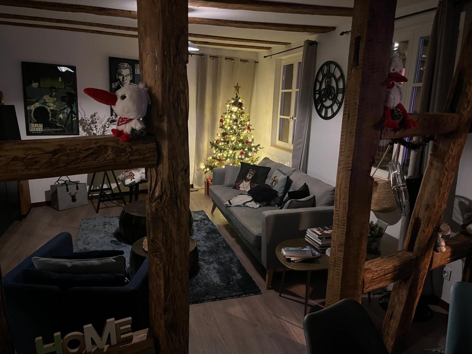 Le Schdorky Lägenhet Colmar Exteriör bild